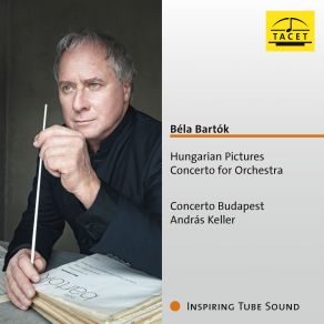 Download track Concerto For Orchestra. IV. Intermezzo Interrotto. Allegretto András Keller, Concerto Budapest