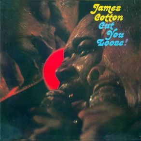 Download track Set A Date James Cotton