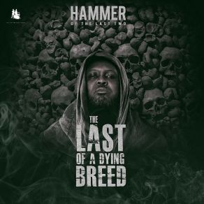 Download track Repercussions Hammer Of The Last TwoKwaw Kese, Worlasi