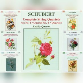 Download track String Quartet No. 14 In D Minor D. 810 'Death And The Maide' - Allegro Kodály QuartetRoberto Alegro