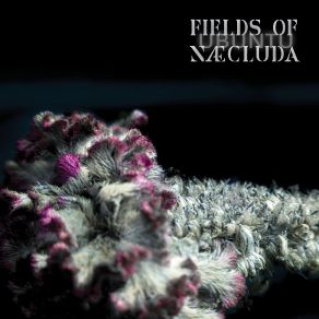Download track Ubuntu Fields Of Naecluda