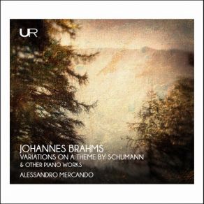Download track No. 3 In B Minor, Intermezzo. Allegro Alessandro Mercando