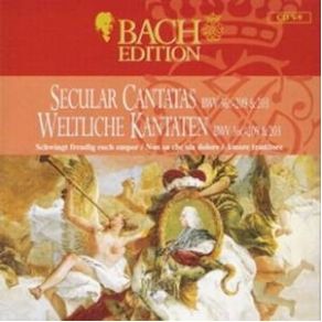 Download track Amore Traditore BWV 203 - III Aria (Basso) Johann Sebastian Bach