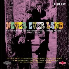Download track She Lives (In A Time Of Her Own) The 13th Floor Elevators