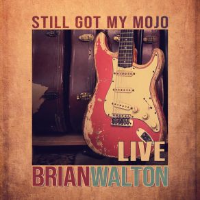 Download track A Good Fool Is Hard To Find Brian Walton