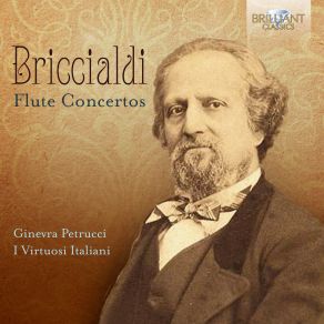 Download track Flute Concerto No. 2 In E Minor III. Allegro Moderato Briccialdi