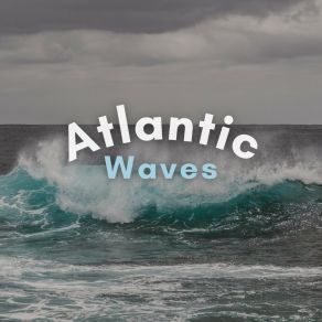 Download track Collecting Shells Ocean Sound Machine