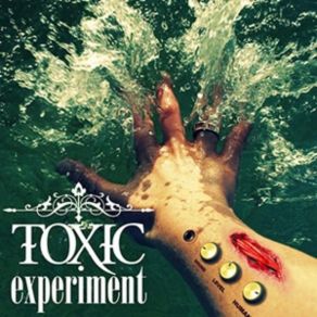 Download track Somewhere Only We Know Toxic