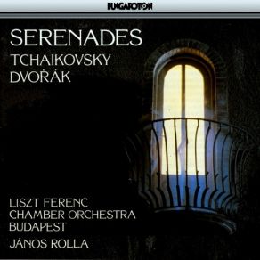 Download track 02 Serenade In C-Major For Strings Op. 48 - II. Walzer Franz Liszt Chamber Orchestra
