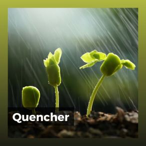 Download track Operating Rain Is My Life