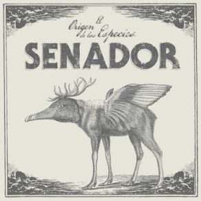 Download track Bufalo Senador