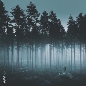 Download track From The Woods Ole Fredrik Norbye