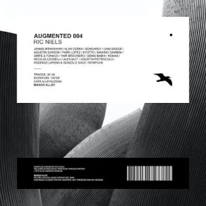 Download track Augmented Intro Ric Niels