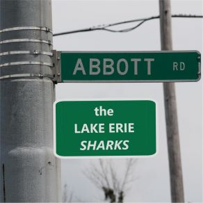 Download track Her Other Face The Lake Erie Sharks