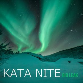 Download track Shadow Boxes Kata Nite