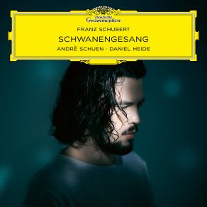 Download track Schubert: Schwanengesang, D. 957 - No. 1, Liebesbotschaft André Schuen, Daniel Heide