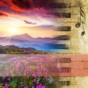 Download track D-Natural Blues The Montgomery Brothers