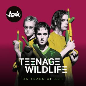 Download track A Life Less Ordinary Ash