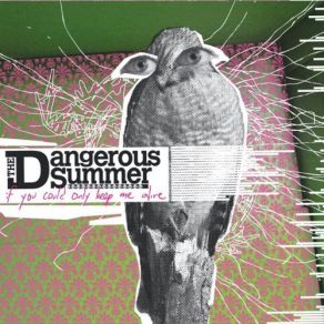 Download track Disconnect The Dangerous Summer