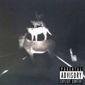 Download track Lose 10lbs In 2 Days 'click Here' Iight So Boom