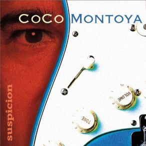 Download track You Didn't Think About That Coco Montoya