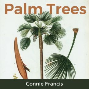 Download track Too Many Rules Connie Francis̀