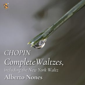 Download track Waltzes, Op. 69: No. 2 In B Minor, Moderato Alberto Nones