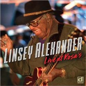 Download track Goin' Out Walkin' (Live) Linsey Alexander