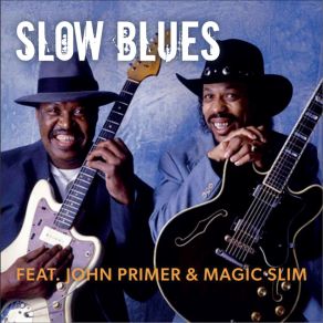 Download track You Can't Lose What You Ain't Never Had Magic Slim, John Primer