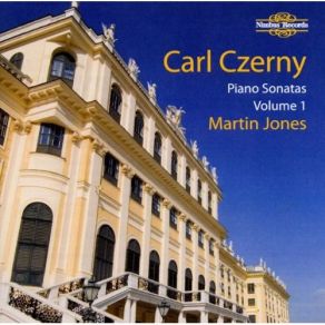 Download track Piano Sonata No. 6 In D-Moll, Op. 124 - VI. Finale. Allegro Con Fuoco Carl Czerny, Martin Jones