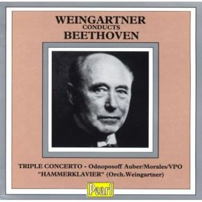 Download track 1. Concerto For Violin Cello And Piano In C Major Op. 56 «Triple»: 1. Allegro Ludwig Van Beethoven