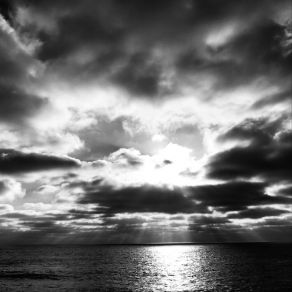 Download track The Mindfulness With Which Shadowy Lines