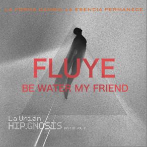 Download track Fluye. Be Water My Friend La Unión