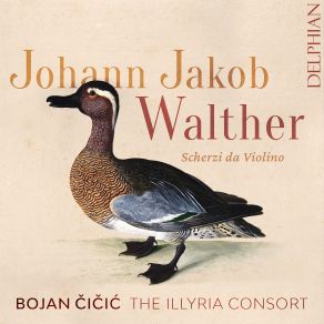 Download track Scherzi Da Violino Solo, No. 3 Sonata In D Major VI. [Allegro II] Bojan Cicic, The Illyria Consort