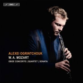 Download track 07 - Sonata For Violin And Piano In B Flat Major, K378 - I. Allegro Moderato Mozart, Joannes Chrysostomus Wolfgang Theophilus (Amadeus)