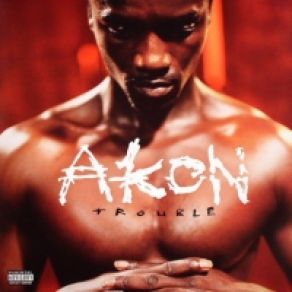 Download track I Won't Akon