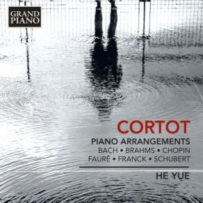 Download track Violin Sonata In A Major, M. 8: IV. Allegretto Poco Mosso (Arr. A. Cortot For Piano) Yue He