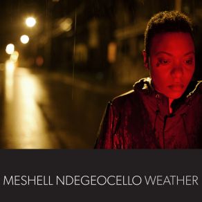 Download track Objects In Mirror Are Closer Than They Appear Meshell Ndegeocello