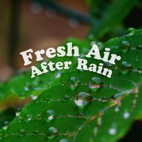 Download track Study Rain Rain Storm Sample Library