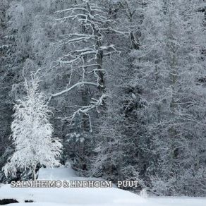 Download track Sophie Marita Lindholm, Raimo Salmiheimo