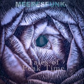 Download track Beaten Path (With A View) MeeresfunkA View