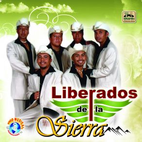 Download track Andar Conmigo Liberados De La Sierra