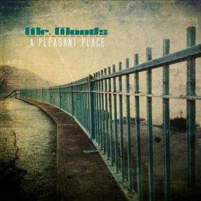 Download track Back & Forth Mr. Moods