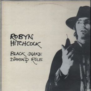 Download track A Skull, A Suitcase, And A Long Red Bottle Of Wine Robyn Hitchcock