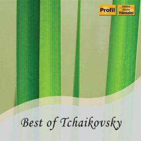 Download track Serenade For Strings In C Major, Op. 48, TH 48 II. Walzer Volker Hartung