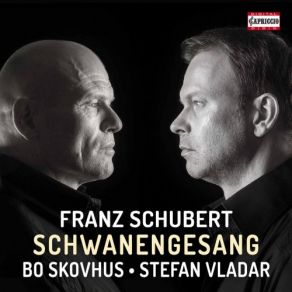 Download track Schwanengesang, D. 957: No. 1, Liebesbotschaft Bo Skovhus, Stefan Vladar