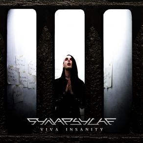 Download track Who The Fuck Are You Now (T-Error Machinez Remix) Synapsyche