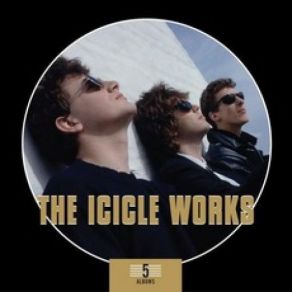 Download track Mr. Soul Icicle Works