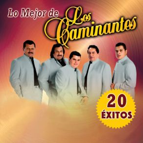 Download track Para Que Quieres Volver Los Caminantes