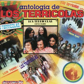 Download track Que Nos Paso A Los Dos LOS TERRICOLAS